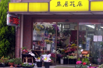 鳥居花店　野田店