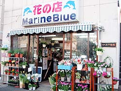 花の店　Marine Blue