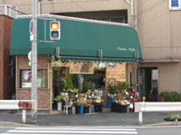 フラワーパーク