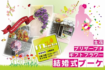 ◆◆Flower Shop MORLA モーラ◆◆